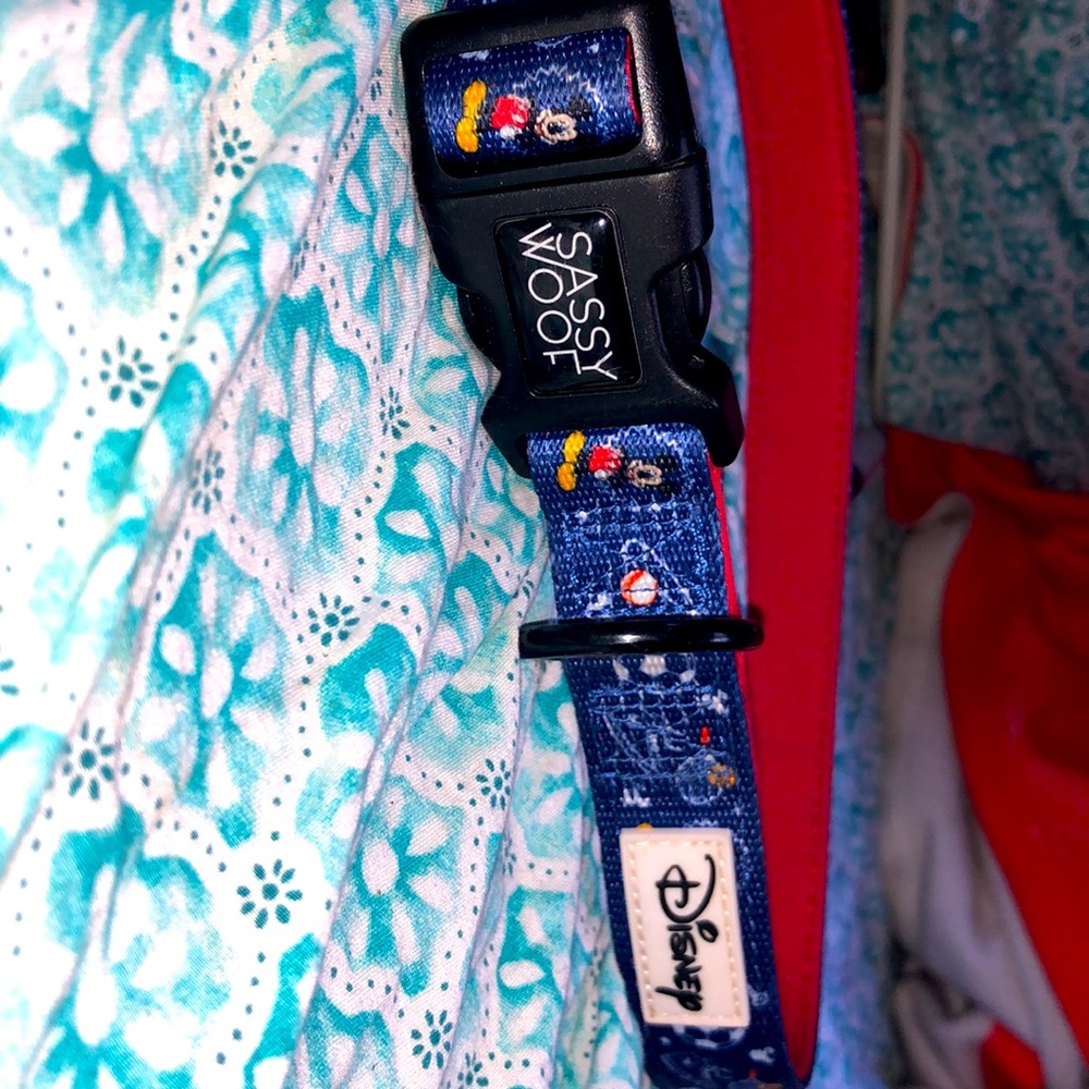 Large Disney dog Collar